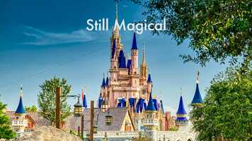 Free download Walt Disney World Magic Kingdom Time Lapse - Still Magical.mp4 video and edit with RedcoolMedia movie maker MovieStudio video editor online and AudioStudio audio editor onlin