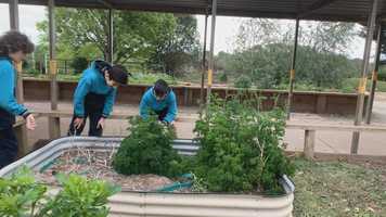 Free download Warragul Primary School Healthy Lunch Program video and edit with RedcoolMedia movie maker MovieStudio video editor online and AudioStudio audio editor onlin