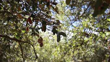 Free download Washed Out video and edit with RedcoolMedia movie maker MovieStudio video editor online and AudioStudio audio editor onlin