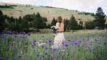 Free download Washington Wedding - Wedding Trailer/Teaser video and edit with RedcoolMedia movie maker MovieStudio video editor online and AudioStudio audio editor onlin