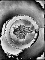 Free download water_cup_mod_animation video and edit with RedcoolMedia movie maker MovieStudio video editor online and AudioStudio audio editor onlin