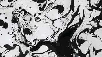 Free download Watering a Flower video and edit with RedcoolMedia movie maker MovieStudio video editor online and AudioStudio audio editor onlin