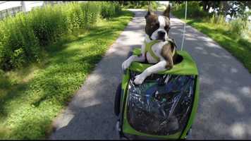 Free download Water Road by Emil G. Music video and edit with RedcoolMedia movie maker MovieStudio video editor online and AudioStudio audio editor onlin