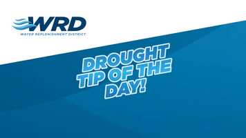 Free download Water Tips  Senator Allen video and edit with RedcoolMedia movie maker MovieStudio video editor online and AudioStudio audio editor onlin