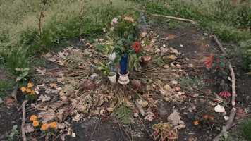 Free download Ways Not to Kill Ourselves (and Save the World in Return) video and edit with RedcoolMedia movie maker MovieStudio video editor online and AudioStudio audio editor onlin