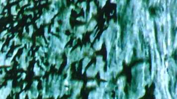 Free download Way They See video and edit with RedcoolMedia movie maker MovieStudio video editor online and AudioStudio audio editor onlin