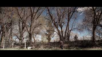 Free download Wayward Son teaser trailer by Clint Obenchain video and edit with RedcoolMedia movie maker MovieStudio video editor online and AudioStudio audio editor onlin