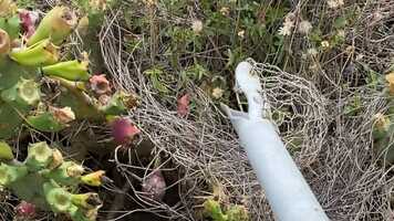 Free download We Are Big Family/ in PengHu video and edit with RedcoolMedia movie maker MovieStudio video editor online and AudioStudio audio editor onlin