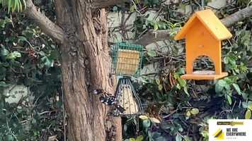 Free download We Are Everywhere - Rotarians In Action: Part 5 video and edit with RedcoolMedia movie maker MovieStudio video editor online and AudioStudio audio editor onlin