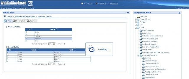 Download web tool or web app WebGalileoFaces