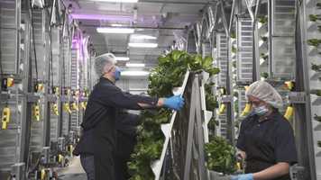 Free download Website Banner Video video and edit with RedcoolMedia movie maker MovieStudio video editor online and AudioStudio audio editor onlin