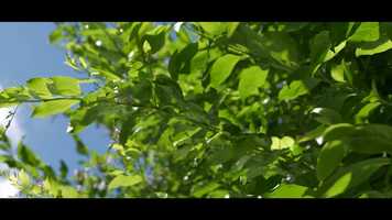 Free download WEDDING TRAILER LORENZO E MARIANNA 07.09.2019 video and edit with RedcoolMedia movie maker MovieStudio video editor online and AudioStudio audio editor onlin