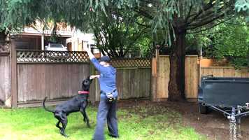 Free download Week 2 Skill 3 Elevated hide - Fortin/Kona video and edit with RedcoolMedia movie maker MovieStudio video editor online and AudioStudio audio editor onlin