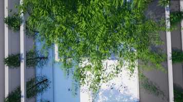 Free download week 4 with music video and edit with RedcoolMedia movie maker MovieStudio video editor online and AudioStudio audio editor onlin