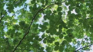 Free download Weekly Energy Update� video and edit with RedcoolMedia movie maker MovieStudio video editor online and AudioStudio audio editor onlin