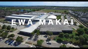 Free download Welcome Back, Tigers video and edit with RedcoolMedia movie maker MovieStudio video editor online and AudioStudio audio editor onlin