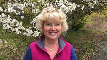 Free download Welcome to BI 103 - Human Biology Overview video and edit with RedcoolMedia movie maker MovieStudio video editor online and AudioStudio audio editor onlin