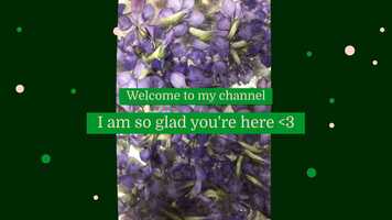 Free download Welcome to my world! video and edit with RedcoolMedia movie maker MovieStudio video editor online and AudioStudio audio editor onlin