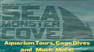 Free download Welcome to Sea Monster Cove 2021 video and edit with RedcoolMedia movie maker MovieStudio video editor online and AudioStudio audio editor onlin