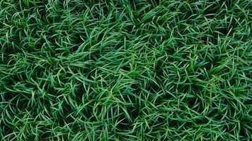 Free download We Made It - (learning documentary) video and edit with RedcoolMedia movie maker MovieStudio video editor online and AudioStudio audio editor onlin