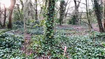 Free download WeMove x Tony Riddle video and edit with RedcoolMedia movie maker MovieStudio video editor online and AudioStudio audio editor onlin