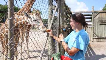 Free download Were all zookeepers video and edit with RedcoolMedia movie maker MovieStudio video editor online and AudioStudio audio editor onlin