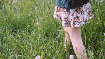 Free download Werewolf Teaser Trailer (2019) video and edit with RedcoolMedia movie maker MovieStudio video editor online and AudioStudio audio editor onlin