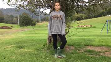 Free download Wet feather video and edit with RedcoolMedia movie maker MovieStudio video editor online and AudioStudio audio editor onlin