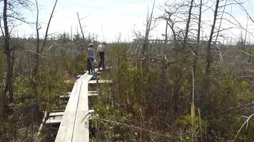 Free download Wetland Words: Henry David Thoreau, We can never have enough of nature video and edit with RedcoolMedia movie maker MovieStudio video editor online and AudioStudio audio editor onlin