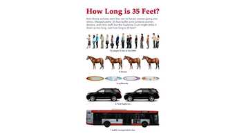 Free download Whale Shark - Isla Mujeres, Mexico video and edit with RedcoolMedia movie maker MovieStudio video editor online and AudioStudio audio editor onlin