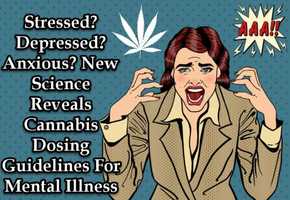 Free download What Does Science Say the Dosing Guidelines Should be for Cannabis and Mental Illness? video and edit with RedcoolMedia movie maker MovieStudio video editor online and AudioStudio audio editor onlin
