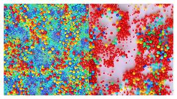 Free download WHATEVER DAY video and edit with RedcoolMedia movie maker MovieStudio video editor online and AudioStudio audio editor onlin