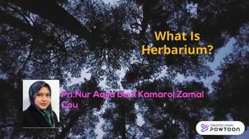 Free download What Is Herbarium? video and edit with RedcoolMedia movie maker MovieStudio video editor online and AudioStudio audio editor onlin