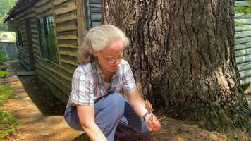 Free download What-is-it!?! July 3 video and edit with RedcoolMedia movie maker MovieStudio video editor online and AudioStudio audio editor onlin