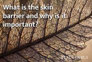 Free download What is the skin barrier and why is it so important? video and edit with RedcoolMedia movie maker MovieStudio video editor online and AudioStudio audio editor onlin