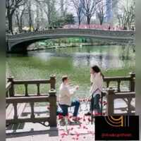 Free download Whatsapp status video and edit with RedcoolMedia movie maker MovieStudio video editor online and AudioStudio audio editor onlin