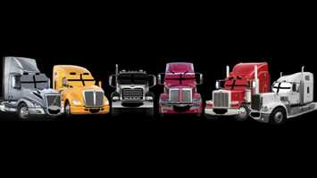 Free download Whats Your favorite scary movie? video and edit with RedcoolMedia movie maker MovieStudio video editor online and AudioStudio audio editor onlin