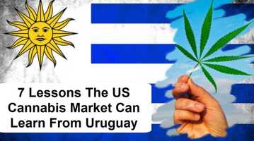 Free download What the US Can Learn from How Uruguay Legalized Marijuana video and edit with RedcoolMedia movie maker MovieStudio video editor online and AudioStudio audio editor onlin