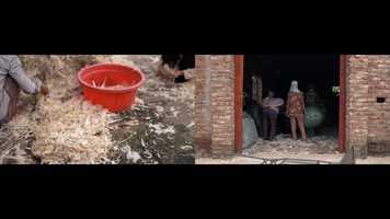 Free download Where Birds Dance Their Last video and edit with RedcoolMedia movie maker MovieStudio video editor online and AudioStudio audio editor onlin