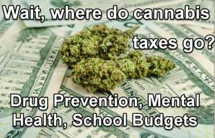 Free download Where Do All Your Cannabis Taxes Go? Schools, Roads, Mental Health, Drug Prevention Programs video and edit with RedcoolMedia movie maker MovieStudio video editor online and AudioStudio audio editor onlin