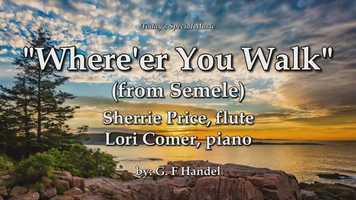 Free download Wherere You Walk video and edit with RedcoolMedia movie maker MovieStudio video editor online and AudioStudio audio editor onlin