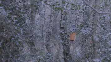 Free download Where The Wild Vacuums Roam video and edit with RedcoolMedia movie maker MovieStudio video editor online and AudioStudio audio editor onlin