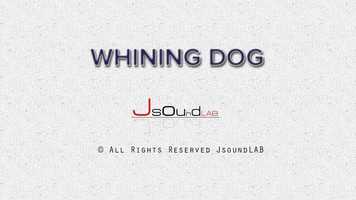 Free download Whining Dog video and edit with RedcoolMedia movie maker MovieStudio video editor online and AudioStudio audio editor onlin