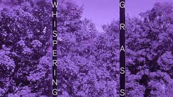 Free download Whispering Grass video and edit with RedcoolMedia movie maker MovieStudio video editor online and AudioStudio audio editor onlin