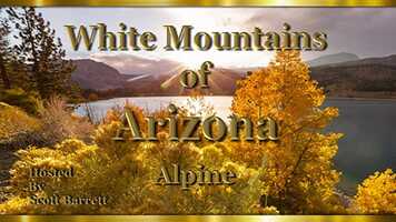 Free download White Mountains of Arizona Alpine (Trailer) video and edit with RedcoolMedia movie maker MovieStudio video editor online and AudioStudio audio editor onlin