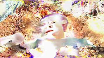 Free download whiteout video and edit with RedcoolMedia movie maker MovieStudio video editor online and AudioStudio audio editor onlin