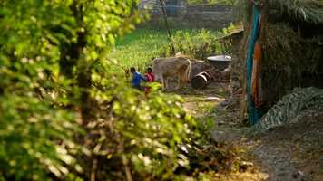 Free download White Pebble  - Trailer - Short Film video and edit with RedcoolMedia movie maker MovieStudio video editor online and AudioStudio audio editor onlin