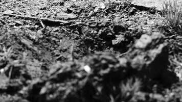 Free download Whole_Final_Cut_Proj.3_Film_Styles_3230 video and edit with RedcoolMedia movie maker MovieStudio video editor online and AudioStudio audio editor onlin