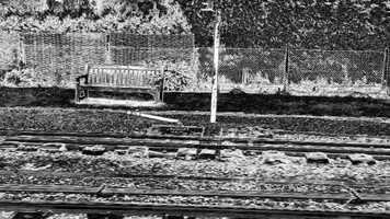 Free download Who Stole My Camel ?.mp4 video and edit with RedcoolMedia movie maker MovieStudio video editor online and AudioStudio audio editor onlin