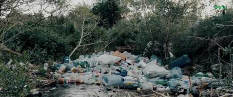 Free download Why Biotta video and edit with RedcoolMedia movie maker MovieStudio video editor online and AudioStudio audio editor onlin